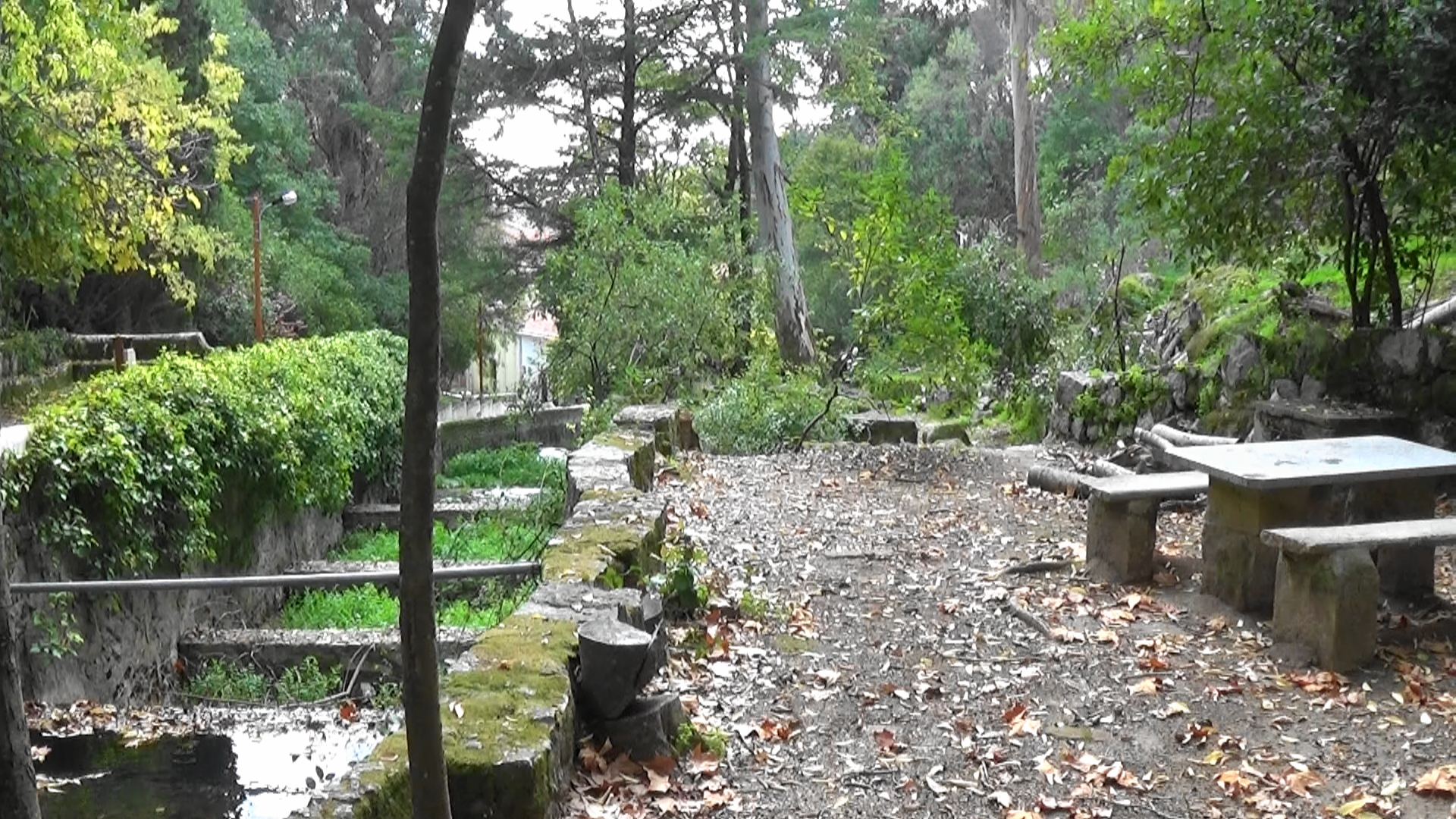 picnic tables made of stone at Cladas de Monchique